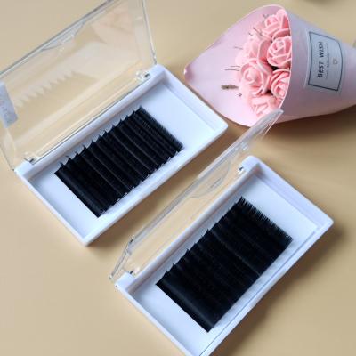 China C D Mink Russian Volume Eyelash Extensions Long 0.07 Fan Lashes Natural Salons Whip Tray Permanent Private Label for sale