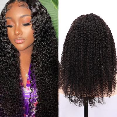 China Body Wave Cuticle Aligned Brazilian Hair Hd Closure Lace Up Afro Color Women Curly Hair Lace Wigs for sale