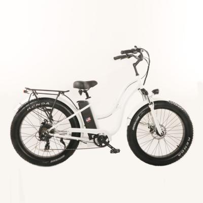 China New Activity Factory Direct Sales Snowmobile 48V 750W Recreational Electric Bicycle for sale