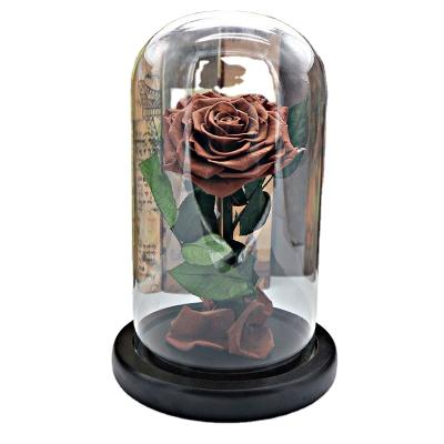 China Best Natural Touch Eternal Khaki Rose Flower Party Valentine Gift Glass Box Preserved Rose for sale