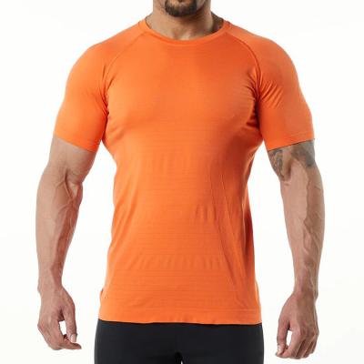 China New Men's Anti-Shrink Sports T-shirt Men's Summer Short Sleeve Casual Fitness Clothes Men's Sports Suit for sale