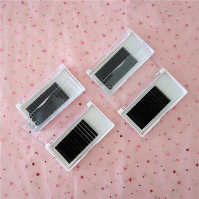 China Dolovebeauty Cruelty Free False Mink Free Sample Matte Black Eyelash Extensions for sale