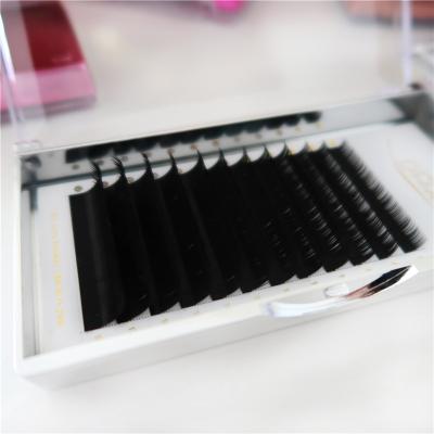 China Dolovebeauty Custom Private Label Cruelty Different Eye Tip Extensions Lash Free Luxury Matte Shiny Split Flat Lash Extensions for sale