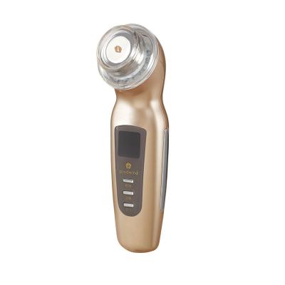 China Skin Tightening Photoion Sound Wave Skin Whitening Repair Model Instrument Hand Held Beauty Device Ultrasonic Wave Filling Device for sale