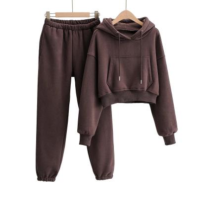 China Smart Casual Custom Girl Kid Solid Cotton Clothes Set Crop Top Hoodie Jogging And Long Panty 2pcs Sets for sale