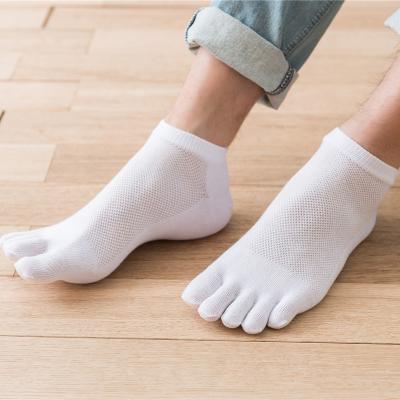 中国 QUICK DRY summer men's mesh casual cotton breathable five finger ankle yoga toe athletic socks for men 販売のため