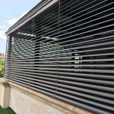 China Corrosion Auto Sun Shade Exterior Aluminum Blinds for sale