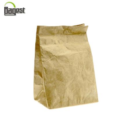 China TOTE BAG Recycle Dupont Kraft Paper Cooler Tyvek Eco - Friendly Waterproof Bag for sale