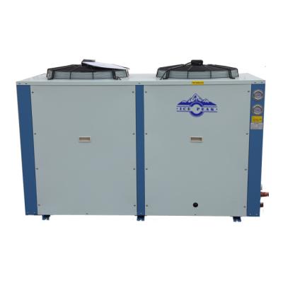 China Cold Storage Room Freezer Room Emerson Copeland Airtight Refrigeration Unit Condensing Cold Room for sale