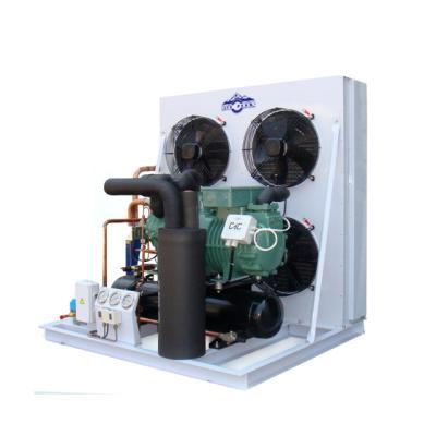 China Cold Storage Room Freezer Room Best Price Semi-hermetic Air Cooled Compressor Condensing Unit For Cold Room for sale