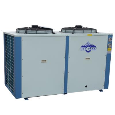 China Cold Storage Room Freezer Room Competitive Price Refrigeration Equipment Condensing Unit for sale