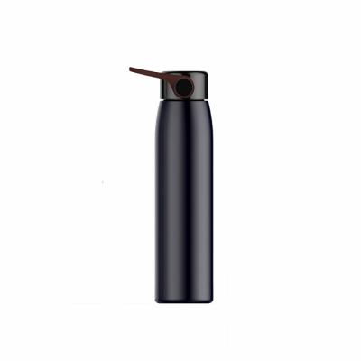 China Sustainable Design Professional Travel Bottle Stainless Steel Colorful Lid Drinking Portable Water Bottle for sale