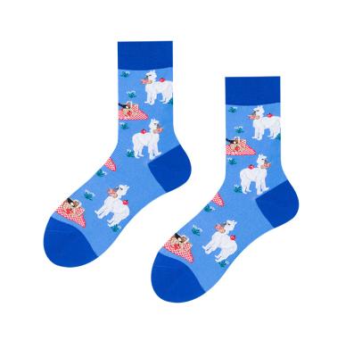 China Colorful animal style designer Your Own Socks sale fashion socks QUICK DRY for sale