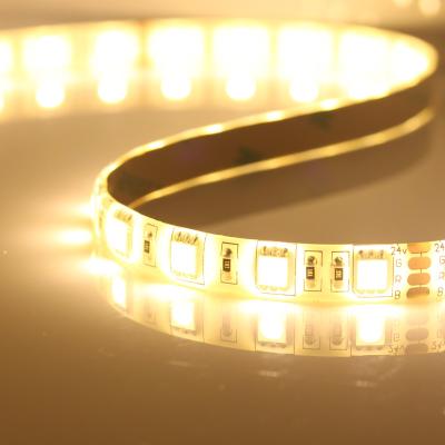 China 12V rgb led light strip 5050 Decorative engineering lamp belt for sale