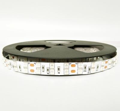 China Neon strip light 12v 24v in IP20 waterproof led strip light smd 5050 for sale