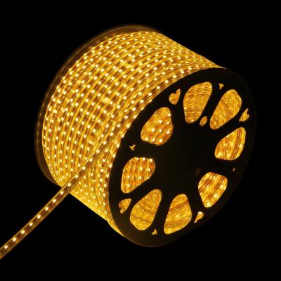 China High voltage waterproof IP68 led strip light SMD 5050  100m/roll  220V for sale