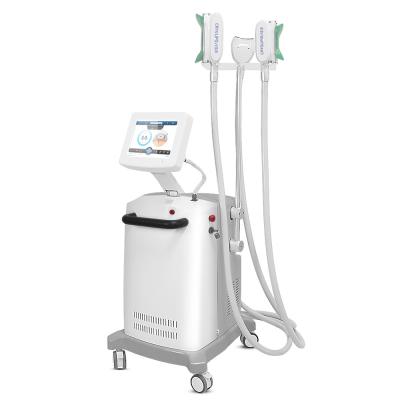 Chine corps Cryolipolysis de visage de 2000W 100kpa amincissant la machine à vendre