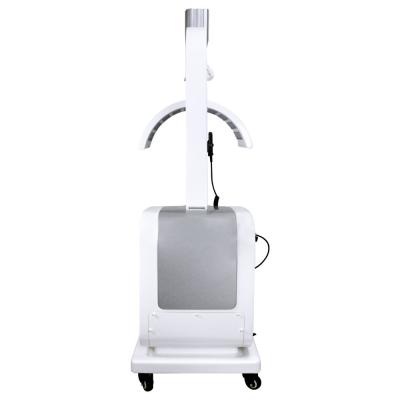 China 120W 640nm Wrinkles Removal Led Skin Rejuvenation Machine for sale