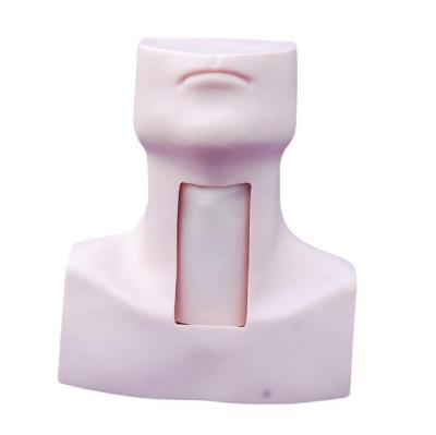 China HM-BDM061 Tracheostomy Simulator for sale