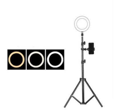 China Telescopic Camera Phone Tripod 2.1m Live Broadcast Bracket 10 Inch Phone Beauty Lamp Led Ring Light for sale