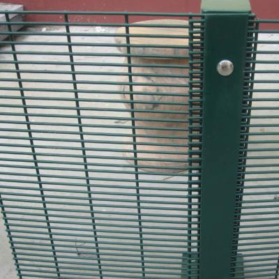 China Easily Assembled Welded Panel PVC Coated After Safety 358 Galvanized Anti Climb Mesh Fence for sale