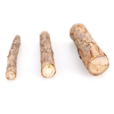 China Viable Pure Natural Pet Cat Teeth Cleaning Catnip Branch Toy Cat Supplies for sale