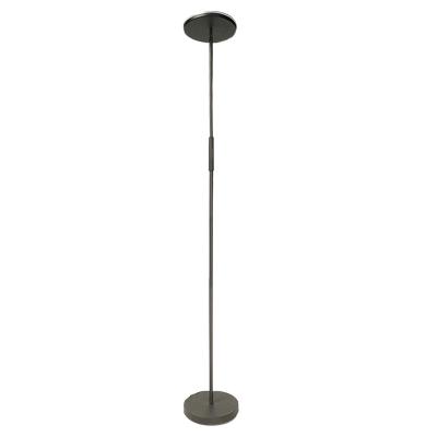 China EUROPEAN Modern RGB Ring Floor Lamp Tall Standing Lamp RGB Floor Lamp For Home for sale