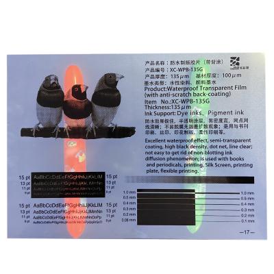 China Screen Printing Transparent Film Waterproof With Anti-scratch Back-Coating Screen Printing Film Transparency 135 Micron for sale