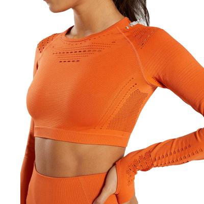 China BMJ9010 Women Breathable Exercise Fitness T-shirt Long Sleeve Belly Equipment Solid Color Gym Workout Top Net Seamless Dress for sale