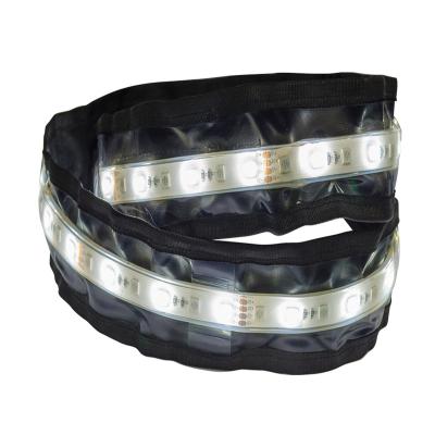 China LANDSCAPE SMD5050 Waterproof Outdoor Camping 12 Volt Dual Cable Light Strip Color For Tent Trailer Boat RV Camping for sale