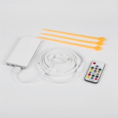 China LANDSCAPE LED Lights RGB For Bedroom, Party, Kitchen, TV, Home Plastic Strips DC 12V IP67 90 80 String Remote Control Landscape 100 Light for sale