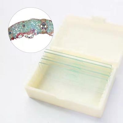 China Clear Sheet Slide Crosscutting Education Microscope Slide Biological Specimen Observation Teaching Structure for sale