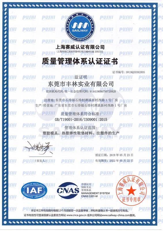 ISO9001 - Dongguan Pushi Industry Co., Ltd.