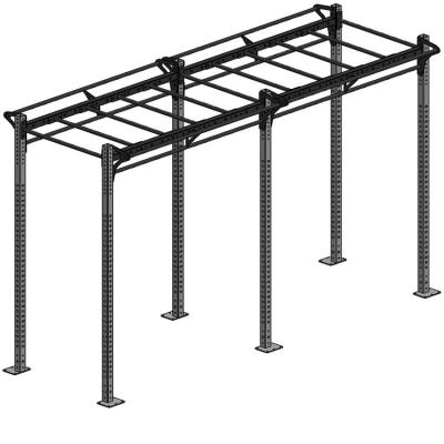 China Universal Power Rack Commercial Grade Long Free Cell Jointed X 2 With Monkey Bars Cross-Fitting Rack for sale