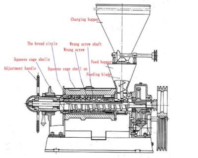 China Building Material Shops High Quality Soybean Oil Extraction Machine Soy Bean Oil Press Machine USA for sale