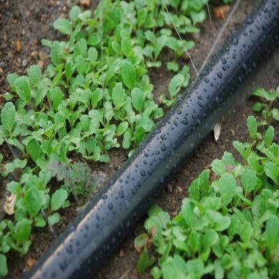 China DAYU Agricultural Water Saving Flow Device Integrated Drip Irrigation Flat Strip 16*0.2*200 for sale