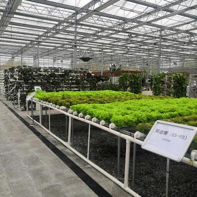 China Greenhouse Greenhouse Good Price Flowers 2021 Fruit Fruit Drip Irrigation Agricultural System Design Large Area Vegetable Land Design For Farms for sale