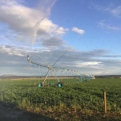 China Increase Irrigation Ratio DAYU Farm Irrigation Systems Central Pivot Irrigation System for sale