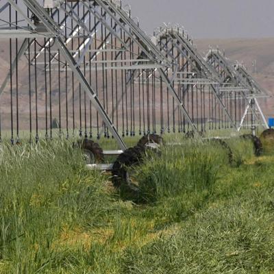 China Increase Irrigation Ratio DAYU Irrigation Equipment For Land Field Center Pivot Irrigation System Cultivating Irrigation for sale