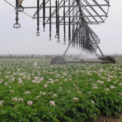 China Increase Irrigation Ratio DAYU Automatic Agricultural Central Pivot Irrigator Sprinkler Machine In Farm Irrigation System for sale