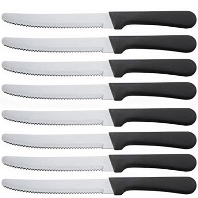 China Viable Success Round Tip 5 Inch Blade Steak Knife With Plastic Handle for sale