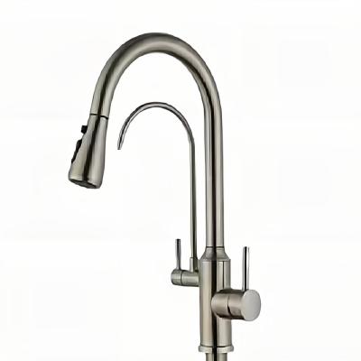 China Pull Out Flexible Spray 304 Stainless Steel Filter Faucets SS Brushed 3 Way 2 Handle Water Mixer Tap Pull Out Deck Mounted Sink Kitchen Faucet for sale