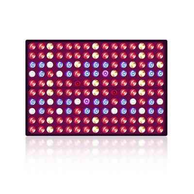 China Seed Seed Growing CE ROHS Indoor Greenhouse 1000W Full Spectrum Plant Lighting Plant COB Led Panel 3000K Grow Light for sale