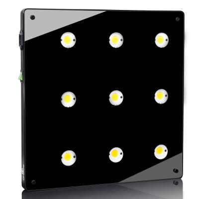 China CFGROW 900w Full Spectrum Phyto Plant Lamp Fitolamp Seed Starting Led Cob Plant Grow Light For Indoor Tent Flower Lettuce Sowing Greenhouse for sale