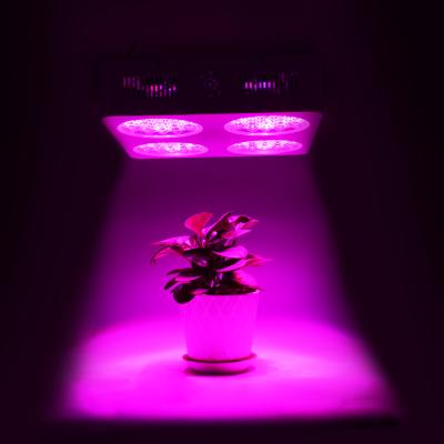 China Seed Starting Panda Grow Indoor Plants Veg Flower Planting Panel 420w Horticulture Greenhouse Full Spectrum Spike Led To Grow Light for sale