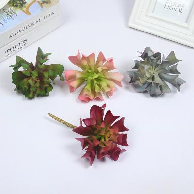 China Cheap Quality Artificial Plants Wayfair Popular Environmental Friendly Price Artificial Succulent On Sale for sale