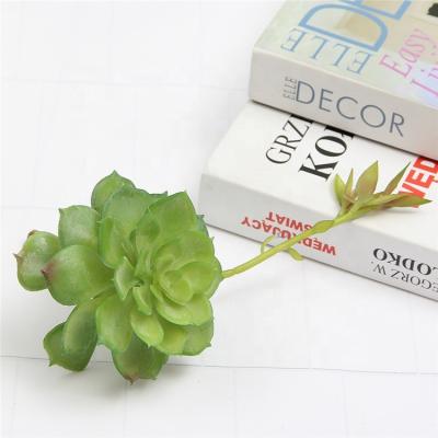 China 2022 Real Unpotted Wholesale Indoor Office Decor Environmental Friendly Artificial Succulent Plants Touch for sale