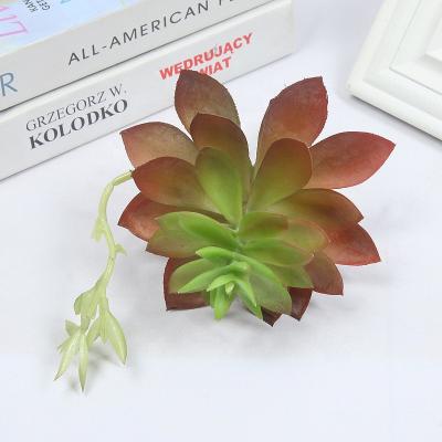 China 2022 Wholesale Natural Unpotted Artificial Succulents Factory Amazon Environmental Friendly Selling Hoe Live Plants Amazon for sale