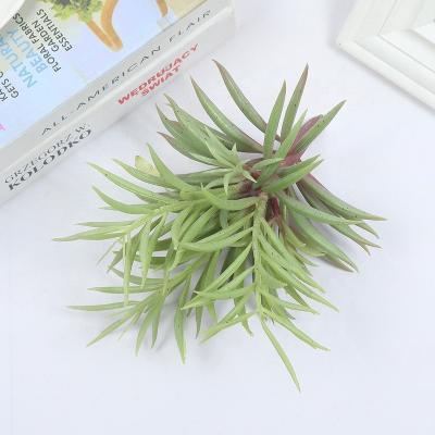 China Environmentally Friendly Artificial Succulents Christmas Green High Quality Decorative Artificial Amazon Plant for sale