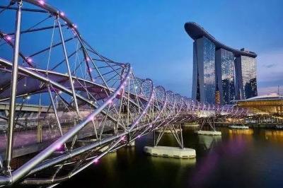 China Puente estructura de acero Puente de alta velocidad Puente paisajístico Puente de tramo en venta